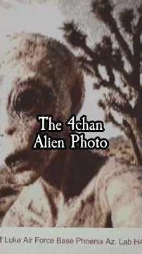 This creepy image of an alien was posted to 4chan... and then disappeared... #mystery #aliens