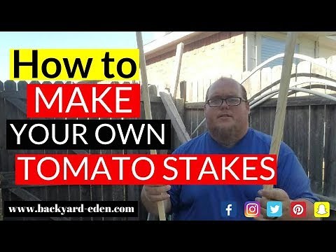 How to make your own tomato stakes | DIY Tomato Stakes