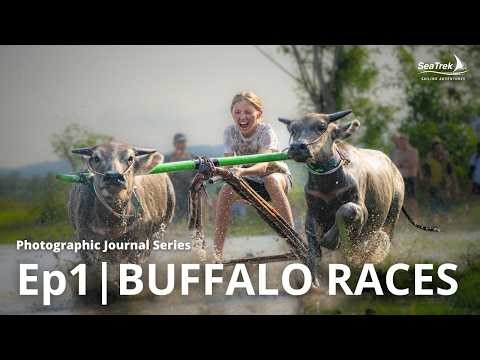 Photographic Journal Series Episode 1 | Buffalo Racing: A Living Tradition You Can Experience