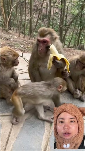 Mamanya gak mau bagi pisang nya 😱⁉️ #funny