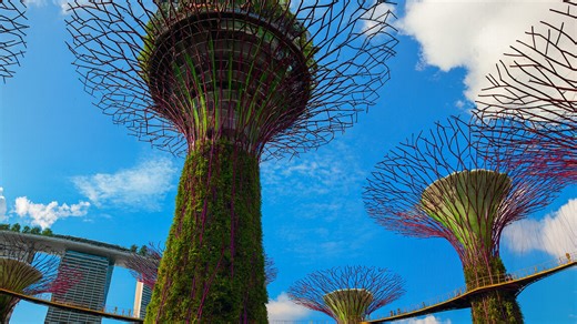 Walking beneath Supertrees at Gardens by the Bay