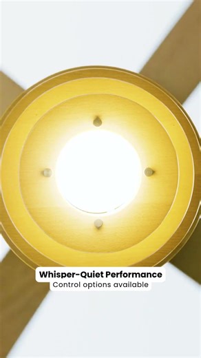 Designer Ceiling Fans by Dave Ellis | Modern Fan Company Collection