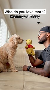 269K views · 65K reactions | Saw that one coming  #dogs #puppylove #minicockapoo | Luna The Mini Cockapoo | Facebook