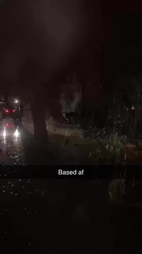 Ultimate Duck Hunting Tips and Tricks