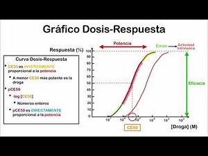 Pharmacodynamics - Dose-response graph