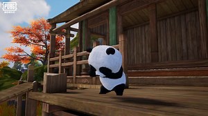 9.1K views · 125 reactions | New Panda Buddy Set Series Available Now! Fighter Panda Buddy, Drunkfist Panda Buddy and Panda Disciple Buddy Await You! Now you can also pet pandas in PUBG MOBILE! Put on the set you think is the most matching and head to the battleground with your Panda Buddy! Which outfit would you choose to match with your panda buddy? Let us know in the comments! DOWNLOAD NOW: https://pubgmobile.live/PUBGMPANDA360 #PUBGMPANDA360 #PUBGMSETS360 | PUBG MOBILE | Facebook