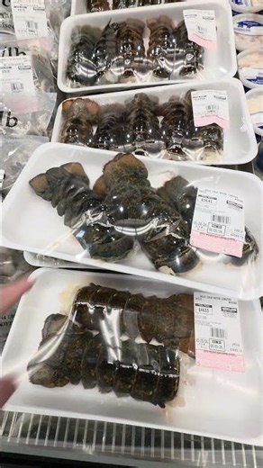 Wild cold water lobster tails at Costco! A seafood lover's dream. Would you bring these home?