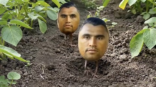 sneajer.store #arab #anime #familyguymeme #asmr #catsoftiktok | Cat Of TikTok