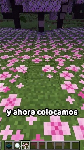 Construyo esto para TI en Minecraft 💖