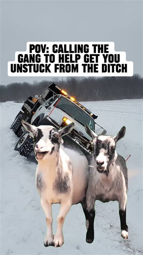 ✅We're gonna help, but we're gonna laugh first 😁 For plow and spreader parts call us today CPW (815) 469-1300 #snowplow #snowremoval #funny #friendsfollowersViewers | Central Parts Snow Plows