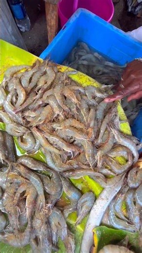 😳இன்னைக்கு ராமன்புதூர் மீன் மார்க்கெட்டில் மீன் ரேட் இவ்வளவா?Nagercoil Kanyakumari fish rate