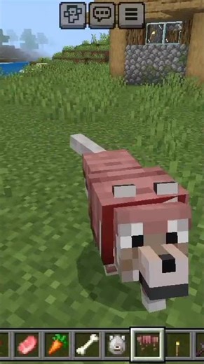 how to tame a wolf in minecraft