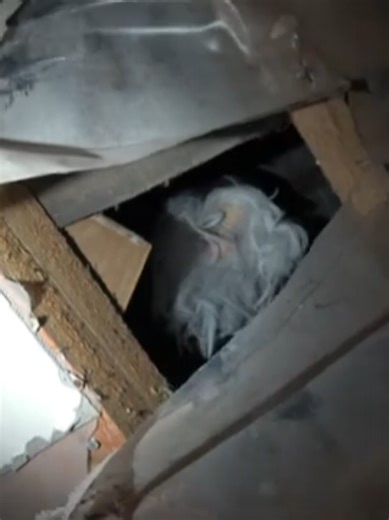 Creepy Old Man Encounter in an Abandoned Farmhouse Part 2