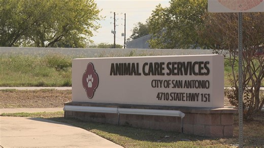 ACS tackling recommendations from city audit head-on to ensure they are addressed