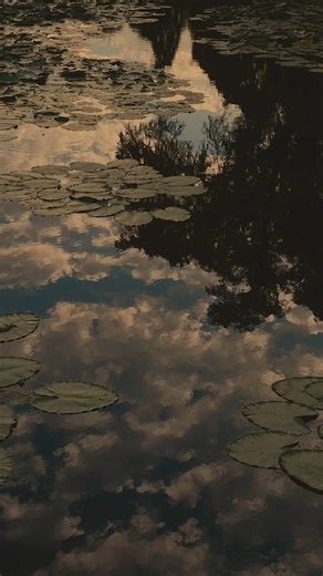 147K views · 3K reactions | Discover the vibrant culture of the Coahuiltecan people at the Sacred Springs Powwow, featuring music, dance, and cultural workshops. Mark your calendars for October 4 & 5 at The Meadows Center. | Visit San Marcos, Texas | Facebook