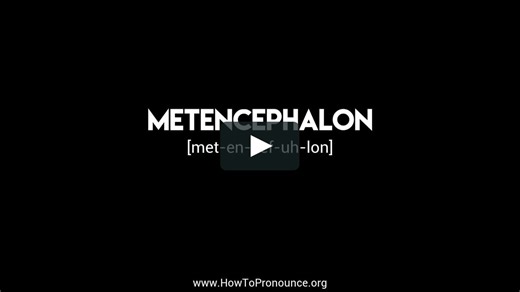 How to Pronounce "metencephalon"