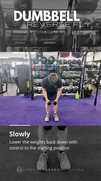 Dumbbell Reverse Fly – How to Perform It Correctly | Trevor Kashey Nutrition