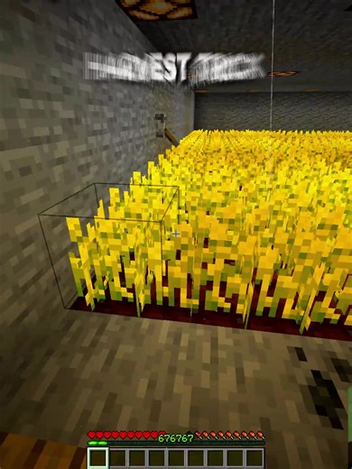 Minecraft Harvest Trick: The World's Smallest Violin