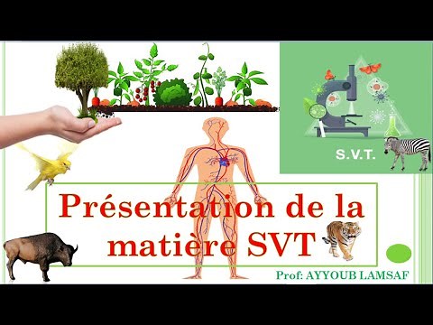 Life and Earth Sciences: SVT option French (middle and high school)