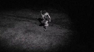 Watch Freak Encounters Season 1 Episode 11 - Pukwudgie