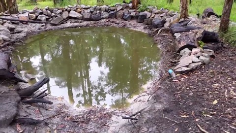 PVC Pond Liner to Stop Ducks Eating Dam Wall & Leaks