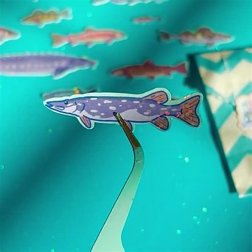 Fish Stickers Vol. 1 (12 Pack) - Etsy