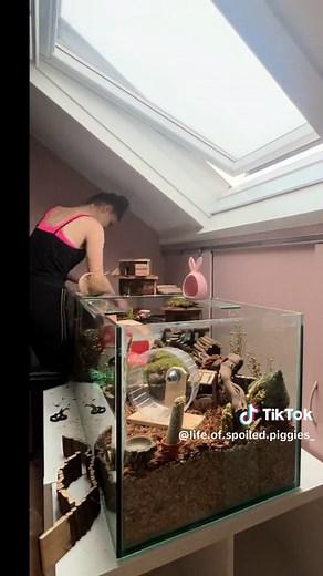 Setting Up a Spacious Hamster Cage: Step-By-Step Guide