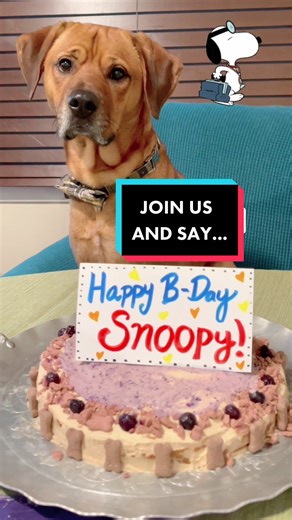 Celebrate Snoopy's Birthday with a Special Cake | Take Care with Peanuts Campaign