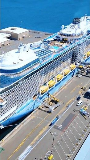 This Cruise Ship Has Skydiving?! 😳 Quantum of the Seas