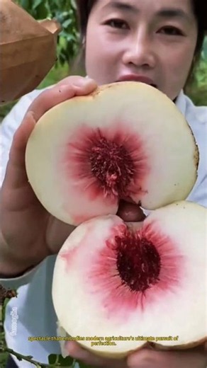 From Desert Cactus to Giant Plum: The Ultimate Aesthetics of Modern Agriculture #shorts #nature