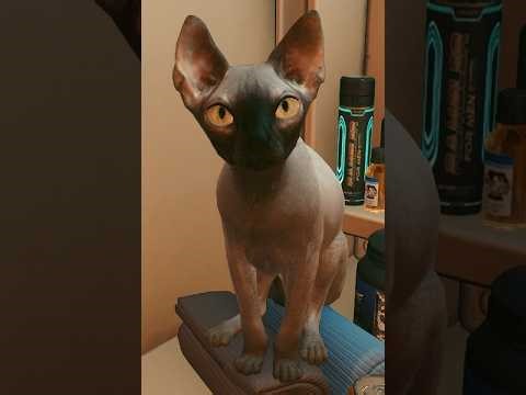 Cyberpunk 2077 Gameplay Walkthrough - Nibbles (feed teh cat)