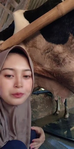 #Peternaksapi #fyppppppppppppppppppppppp