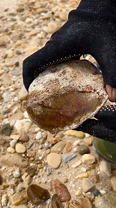 I found a red moss jasper stone, take a look at what's inside... #jasper #redjasper #mossjasper #stone | The GemsHunter