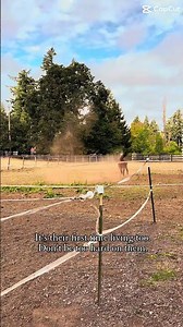 I mean, look at how cute they are 🥺 #hunter #horse #horsey ￼