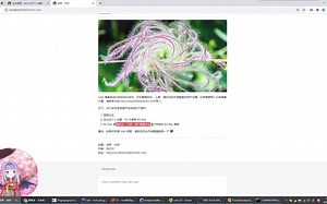 本地 localhost 搭建运行 Java 开源博客系统 Solo https://github.com/88250/solo