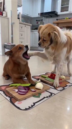 AI Kitchen Chili Pepper Eye Rubbing: A Hilarious AI Experiment