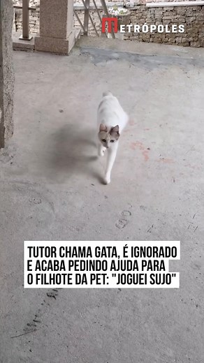 55K views · 17K reactions |  Deu a hora da gatinha do Tiago voltar...