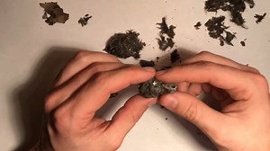 6.1K views · 81 reactions | Owl pellets contain the undigested and...