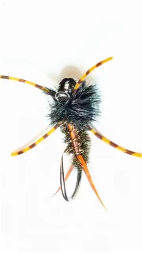 Jig/Euro Style Stonefly Nymph.#flytying #flyfishing #nymphs #stonefly #troutflies #shotaflies