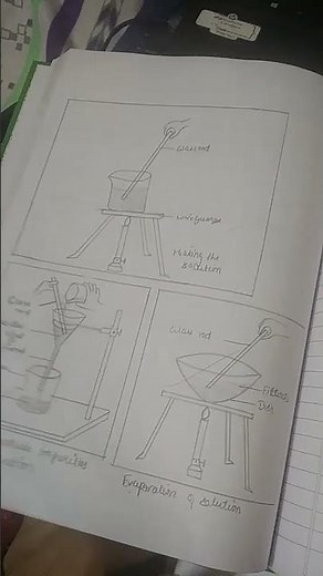 Class 12 Chemistry Lab Manual 👨‍🔬