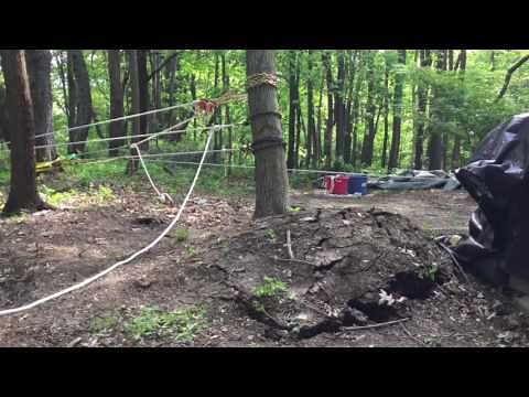 Uprooting a tree using a 45 to 1 pulley system
