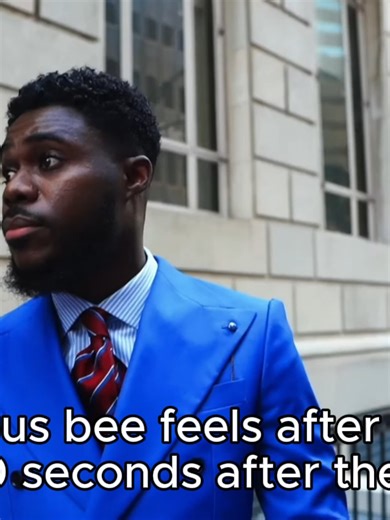 Exploring Ladybug Decisions in Bee Swarm Simulator