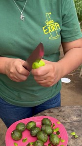 Jocote sin semilla o también conocido como jocote jobo. Esté jocote tiene sabor entre mango indio tierno y guayaba. | Izalco tv