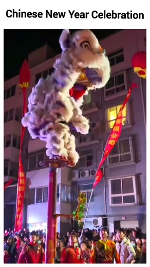 Chinese New Year Celebration