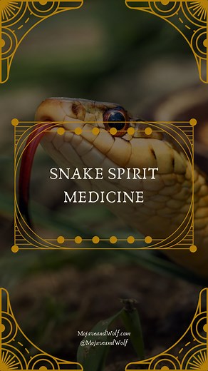 The Snake Spirit Medicine is potent and helpful. If there’s another animal you’d like to learn more about, leave me a comment and I’ll make another video.#wildmother#snakemedicine #snakespirit #spiritguide #spiritcommunication #onthisday | Mojave and Wolf