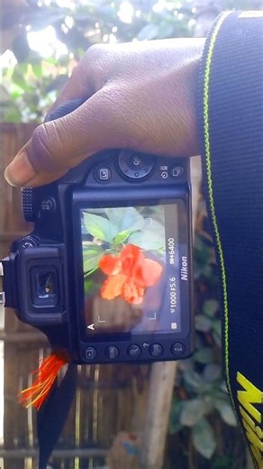 Nikon d3400 Flower 🌺 photography😲 || Mukesh Editor 12 #ytshorts #photography #shorts #nikon