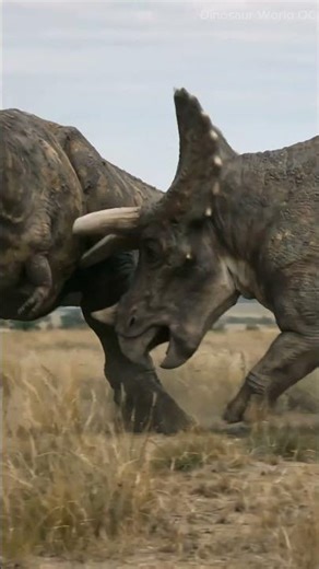 The battle between predator and prey… who will emerge victorious??? #TRex #triceratops #dinosaurs