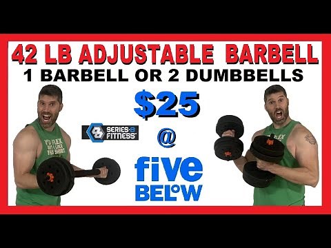 42 lb Adjustable Barbell Review | $25 at Five Below | Series 8 Fitness Barbell or Dumbbells Weights
