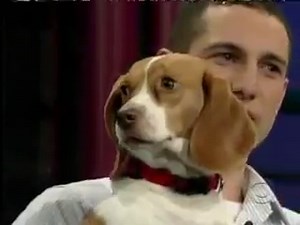 Man tells his dog to ?play dead? on national TV. Dog does so in hilarious fashion | Stunning Videos