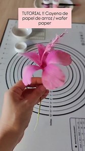 8.8K views · 167 reactions | Wafer paper hibiscus flower | Nkiruka Ndaguba | Facebook